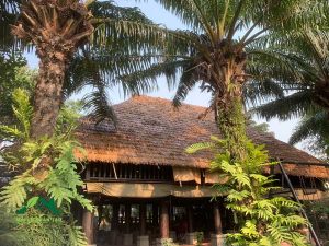 Cách lợp nhà mái lá