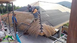 thi công rơm nhân tạo trên hệ mái gỗ, ván dăm OSB