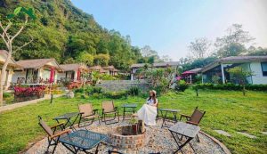 Rơm Nhân Tạo Lợp Mái Đem Đến Vẻ Đẹp Tự Nhiên Gần Gũi