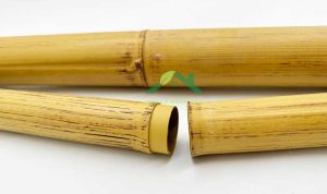 ống tre nhựa nhân tạo