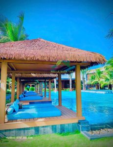 Mẫu chòi lá đẹp năm 2025